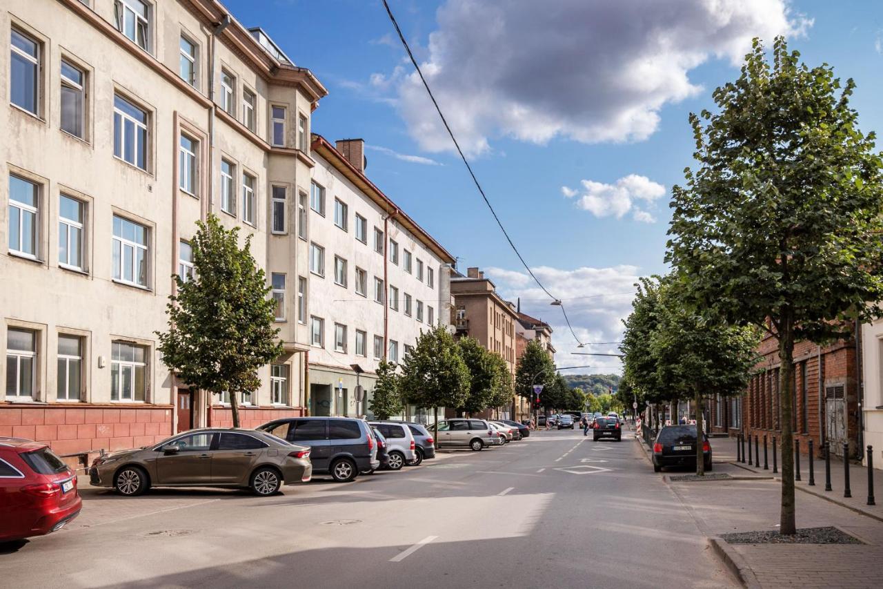 Old-New Apartment In Central Kaunas Kültér fotó